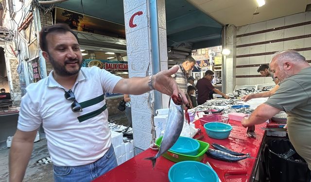 Tavşanlı Balık Pazarı'nda fiyatlar belli oldu