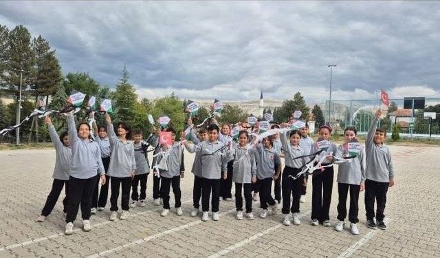 Hisarcık'ta 'Uçurtmalar Vurulmasın, Gökyüzü Çocuklara Kalsın' etkinliği düzenlendi