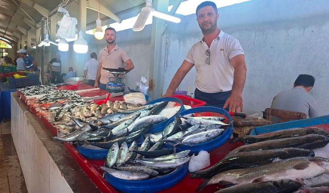 Kütahya'da palamut bereketi: Kilosu 80 - 100 TL'den kapışılıyor