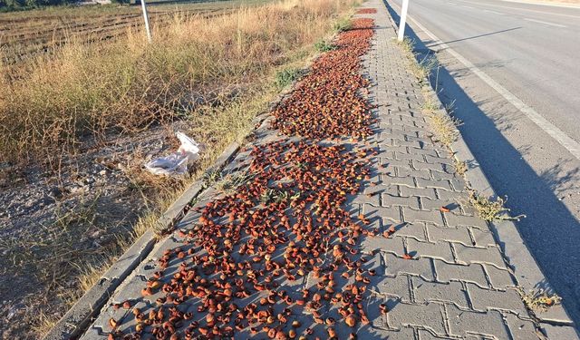 Kütahya sokaklarında ilginç görüntü: Satış için kuruttukları elmaları kaldırımlara serdiler