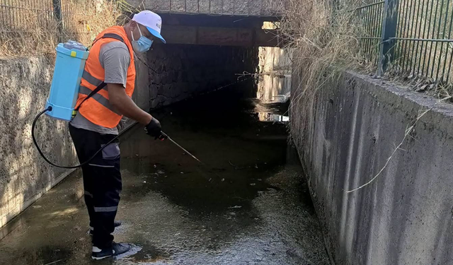 Gediz’de Uçkun ve Haşereye Karşı Mücadele Sürüyor