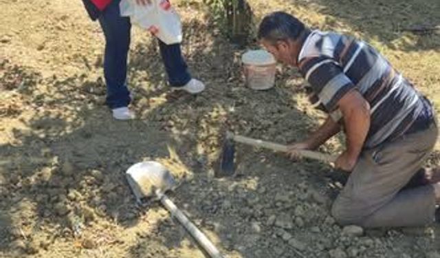 Pazarlar'da tarımda verimi artırmak için toprak analizi çalışmaları gerçekleştirildi