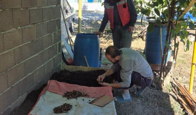 Kütahya’da salep üretimi mercek altında: Ekim alanları kontrol edildi