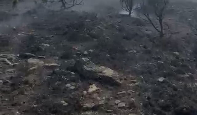 Kütahya’da korkutan orman yangını: Köylüler ve itfaiye seferber oldu!