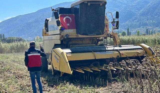 Simav’da yüzde 75 hibeli tohumlar hasada ulaştı