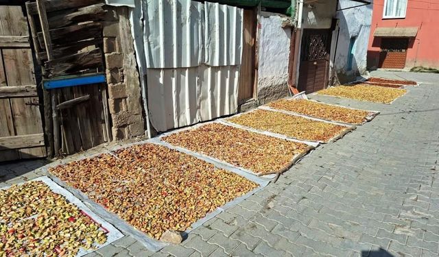 Kütahya’da Geçen Yıl 70 TL’ydi, Bu Yıl 40 TL’ye Düştü!