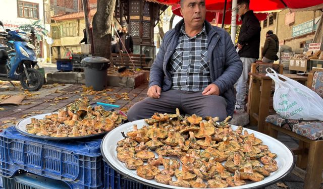 Tavşanlı’da Melki Mantarı Mesaisi Başladı: Fiyatı Şaşırttı!