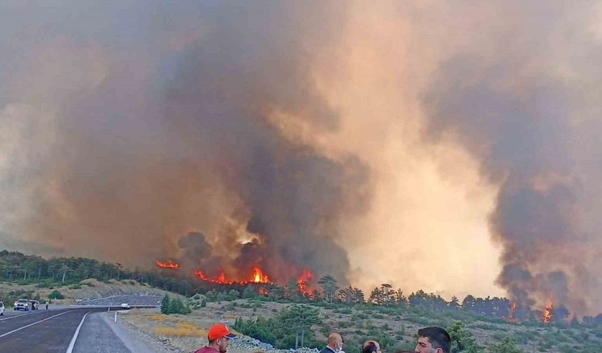 Başkan Bozbey'den açıklama, "Yangının 6 farklı bölgede bir anda başlamış olması düşündürücü"