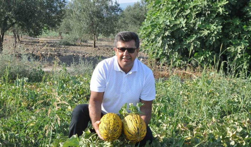 Kırkağaç Kavunu 38. AB Tescilli Ürün Oldu