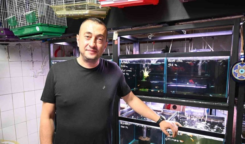 Kuş ve Balıklar Yaz Sıcağında Tehlikede