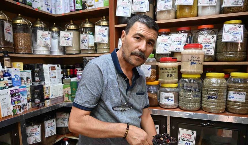 Serinlemenin Doğal Yolu: Bitkisel Aromalar