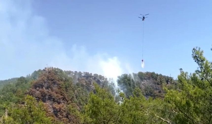 Orman Yangını 3 Saatte Kontrol Altına Alındı