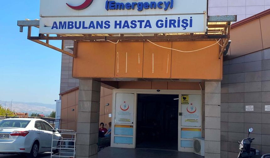 Yaşlı adam ağacı kesmek isterken hayatından oldu