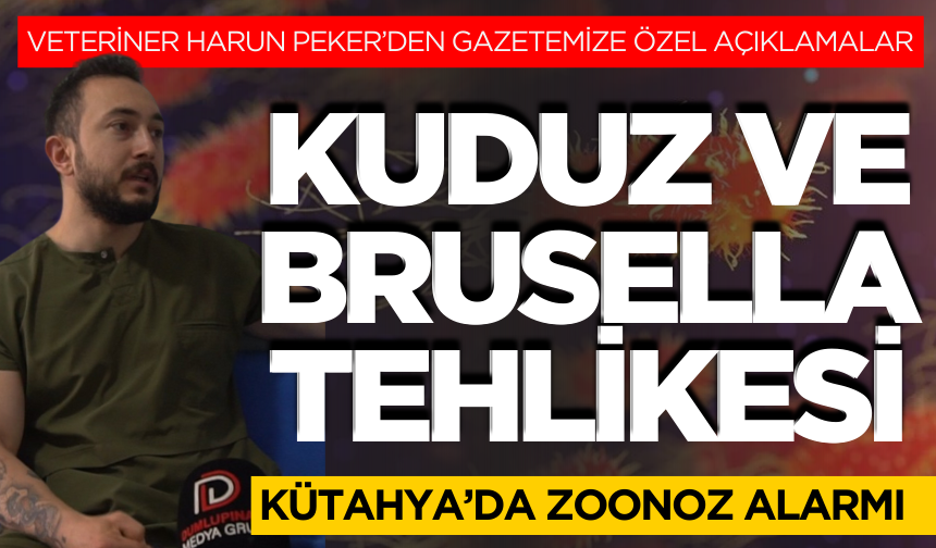 Kütahya’da Zoonoz Alarmı: Kuduz ve Brusella Tehlikesi