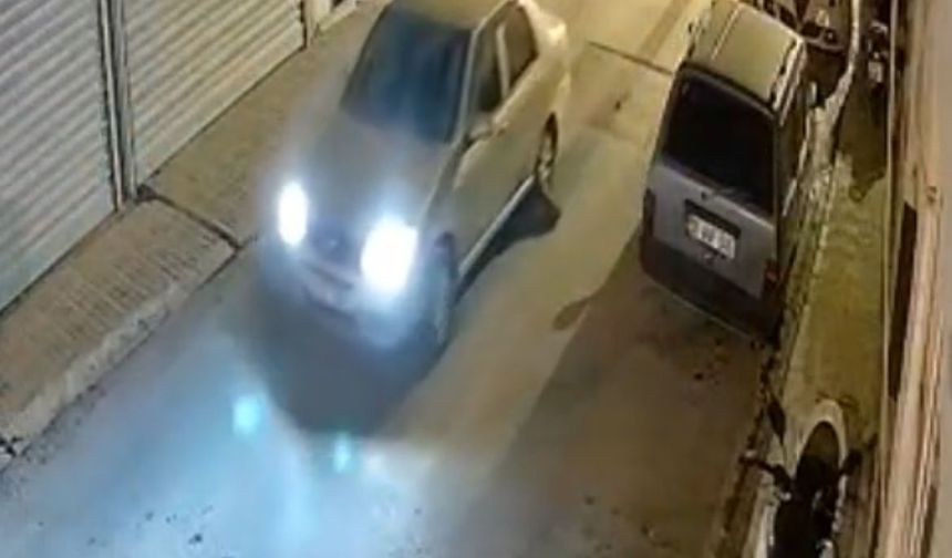 Muğla’da Trafik Kurbanı: Oklu Kirpi Hayatını Kaybetti