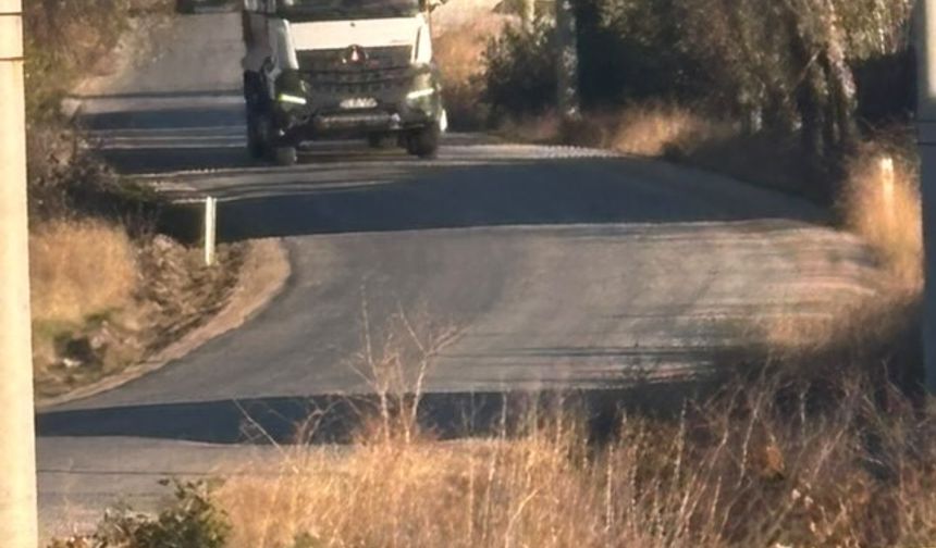 Tekören yolunda ağaç bakımı yapılmayınca tehlike arttı