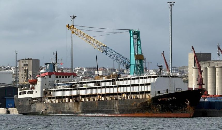 İthal hayvan taşıyan gemi limanda mahsur kaldı