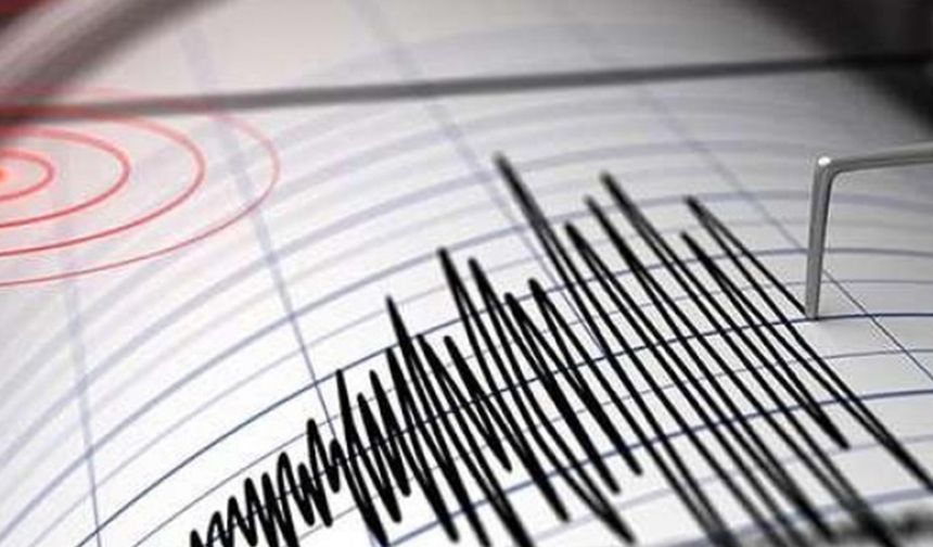 Deprem Uyarı Sistemi Artık Ücretsiz Uygulamada