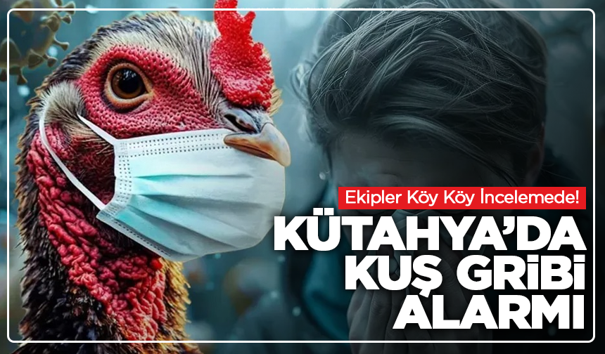 Kütahya’da Kuş Gribi Alarmı! Ekipler Köy Köy İncelemede