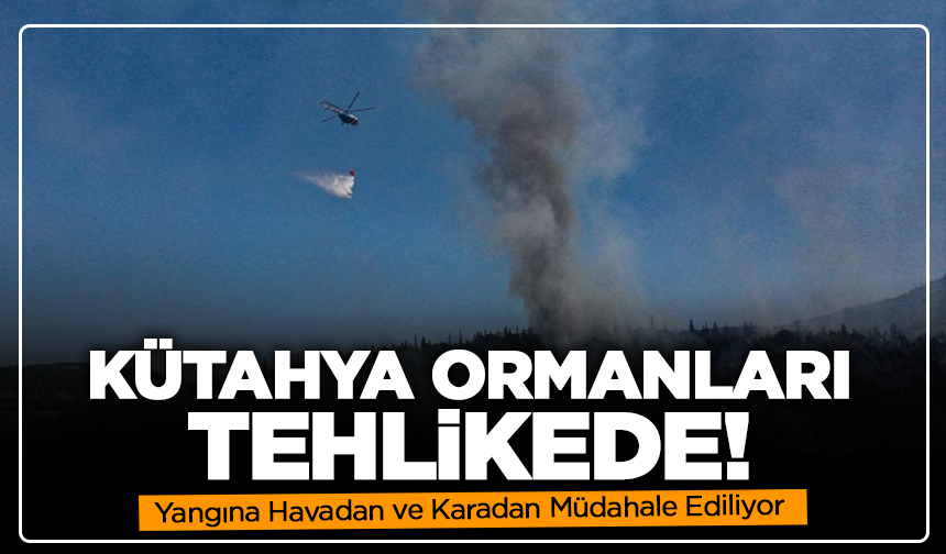 Kütahya Ormanları Tehlikede! Yangına Havadan ve Karadan Müdahale Ediliyor