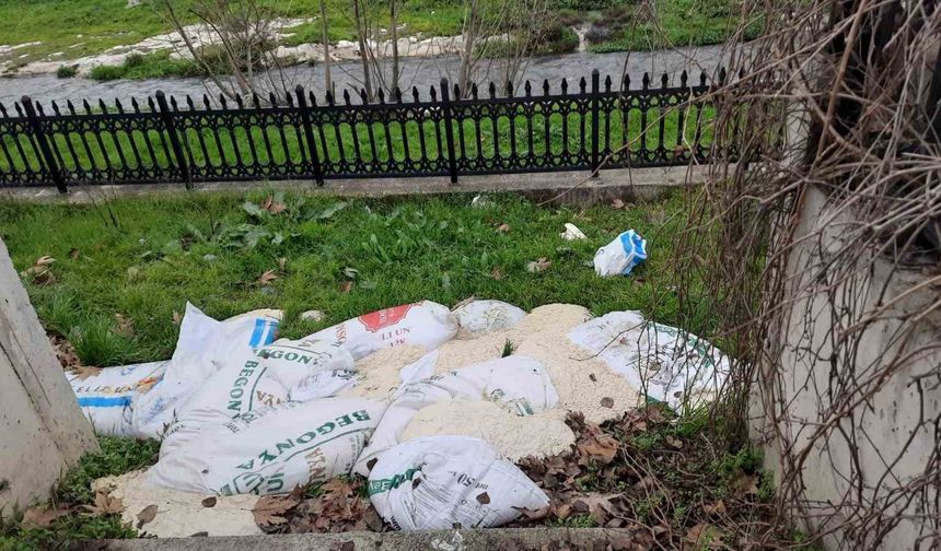 Bilecik'te yol kenarına atılan 15 çuval ekmek hamuru temizlendi