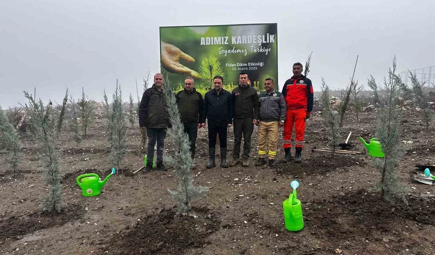 Yanan Ormanlara Umut Oldu: Manisa’da 1000 Fidan Toprakla Buluştu