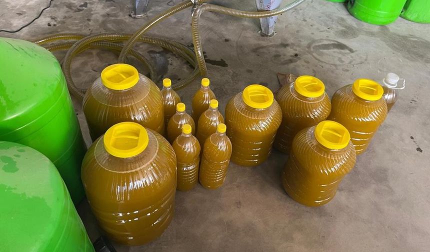 Kara zeytin bir saatlik emekle altın sıvıya dönüşüyor