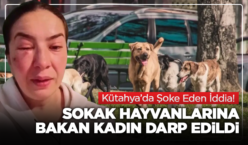Kütahya’da Şoke Eden İddia: Sokak Hayvanlarına Bakan Kadın Darp Edildi