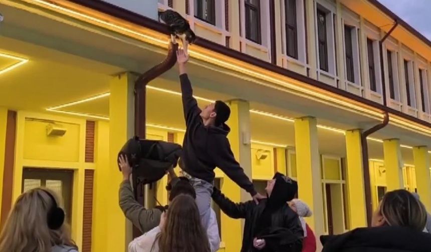 Gençlerin sevimli kediyi kurtarma çabası eğlenceli anlara sahne oldu