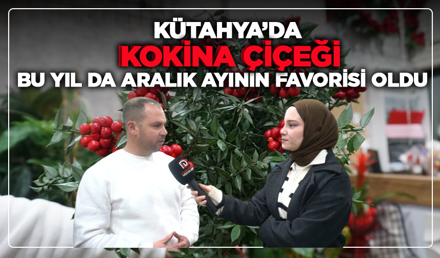 Kokina Çiçeği Kütahya’da bu yılda Aralık ayının favorisi oldu