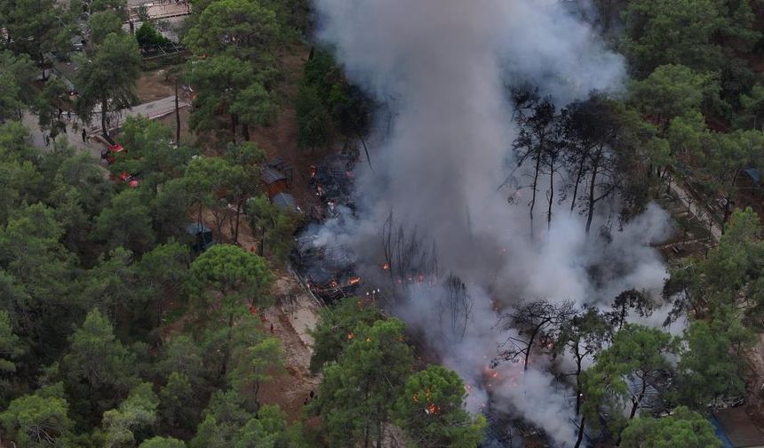 Karavandaki yangın ormana sıçradı