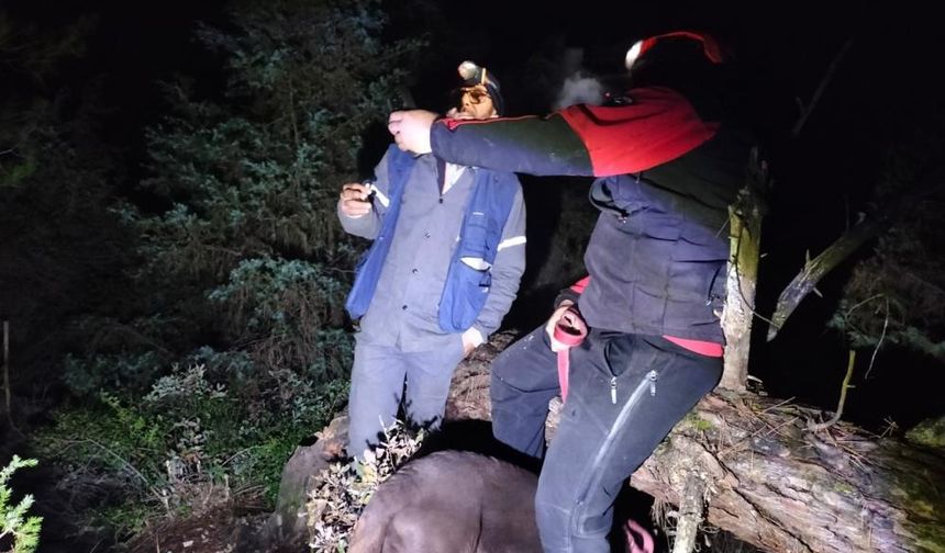 Sağır ve dilsiz adam mantar aradığı ormanda kayboldu