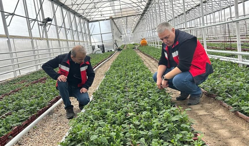 Simav Tarımı Mercek Altında