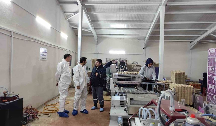 Çavdarhisar’da üretim hattı incelendi: Yumurtacı tesiste detaylı kontrol