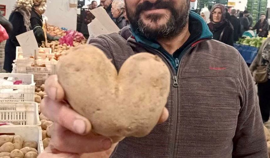 Doğanın sürprizi: Kalp formunda patates ilgi odağı oldu