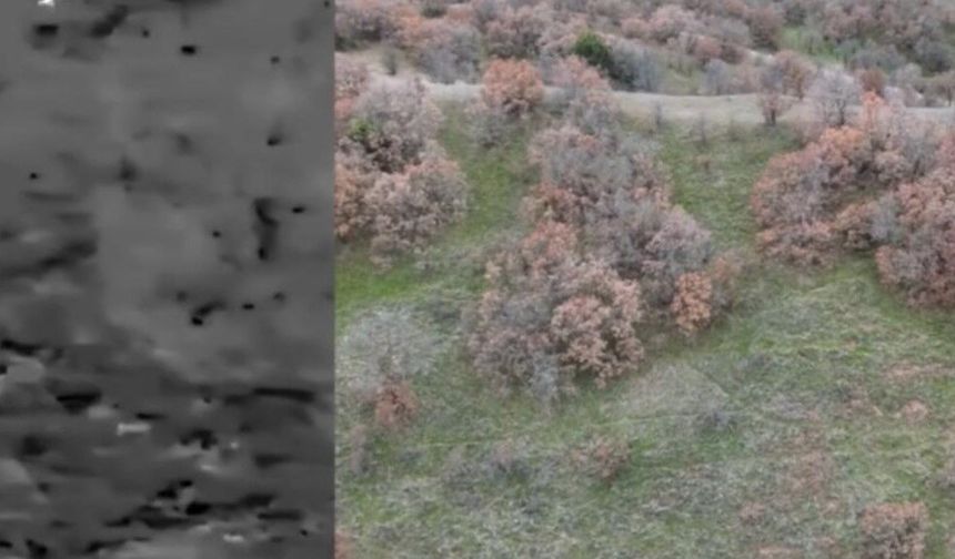 Termal kameradan kaçamadılar: Kaçak avcılar yakayı ele verdi