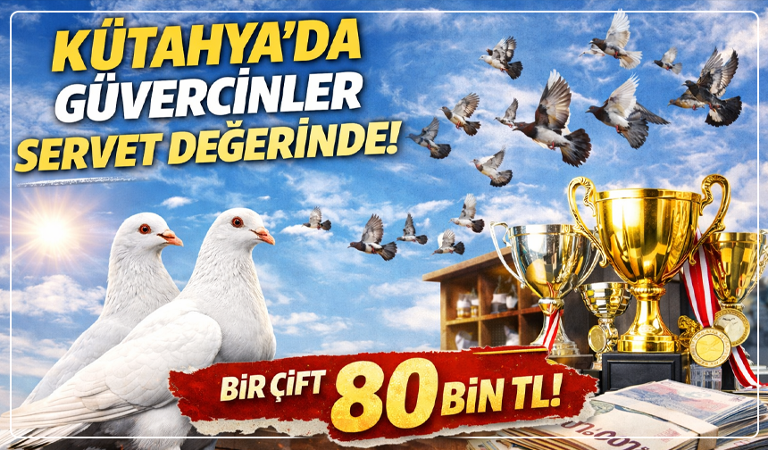 Kütahya'da kuşçuluk, maaşları geçiyor: ''Bir çift kuşu 80 bin liraya sattım''