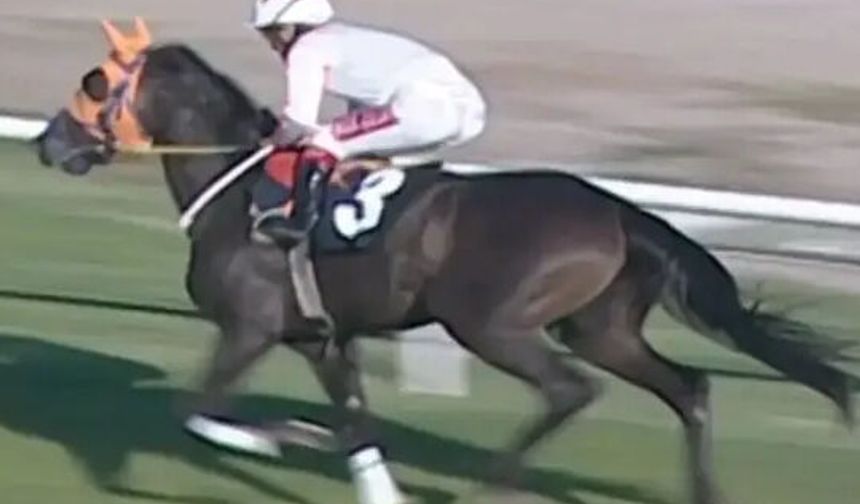 Mersin’de aşevi yemeğinde şok detay: Kavurmadan çıkan parça herkesi şaşırttı