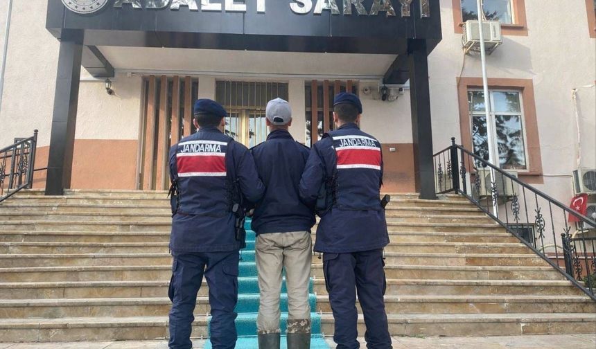 Kendisine saldıran köpeklerin sahibini vuran 17 yaşındaki şüpheli tutuklandı