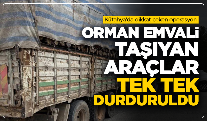 Kütahya'da orman emvali taşıyan araçlar tek tek durduruldu