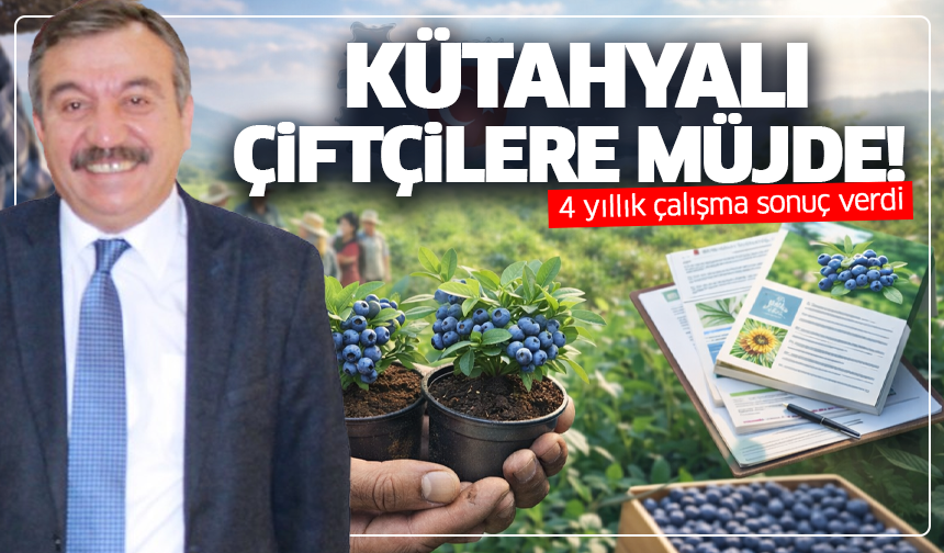 Kütahyalı çiftçilere müjde! 4 yıllık çalışma sonuç verdi