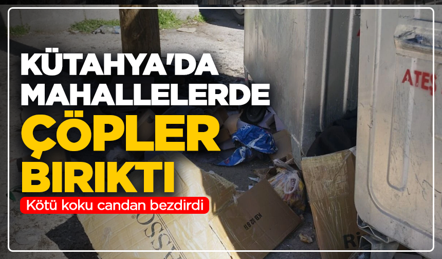 Kütahya'da mahallelerde çöpler birikti, kötü koku candan bezdirdi