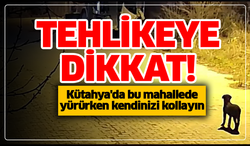 Kütahya'da bu mahallede yürürken kendinizi kollayın: Tehlikeye dikkat!
