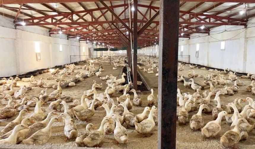 AK Parti Milletvekili Bayırcı: “Bölgede Ekonomik Değer Yaratıyoruz”