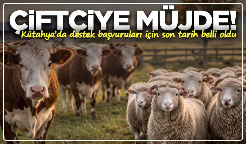 Çiftçiye müjde! Kütahya’da destek başvuruları için son tarih belli oldu