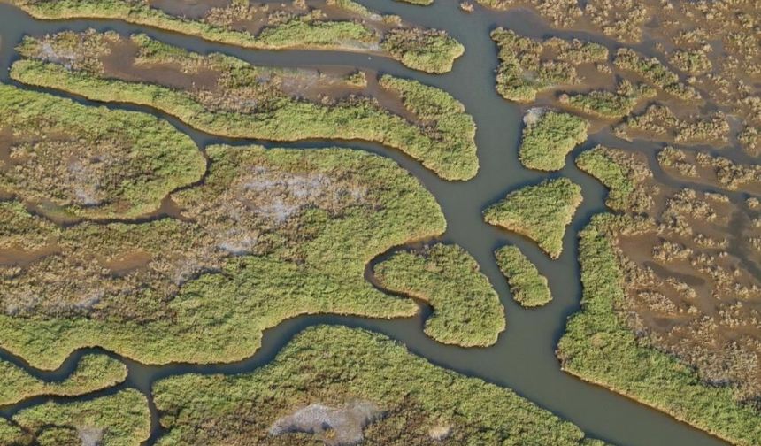 Kütahya’dan başlayan tehlike: Gediz Nehri kirli su kanalına dönüşebilir