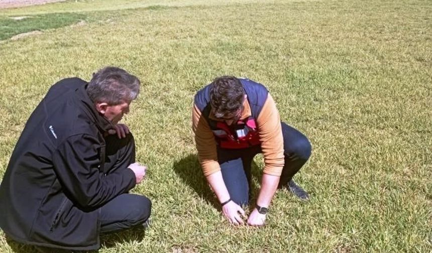 Aslanapa’da Hububatta Soğuk Alarmı! Ekipler Sahaya İndi