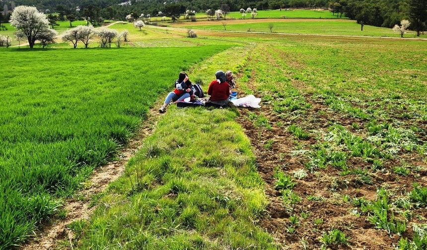 Hisarcık’ta tarım alarmı: saha çalışmaları sahaya taşındı