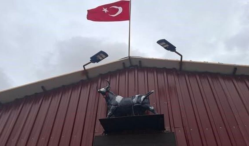 Kütahya’da herkes bunu konuşuyor: Tosunun heykel paniği