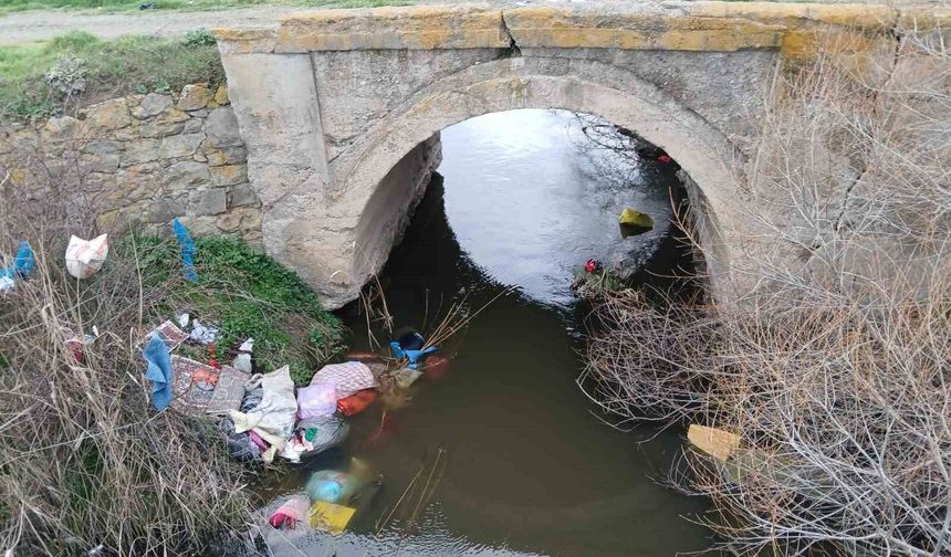 Tavşanlı’da doğa tehdit altında: Bilinçsiz hareketler kirlilik oluşturuyor